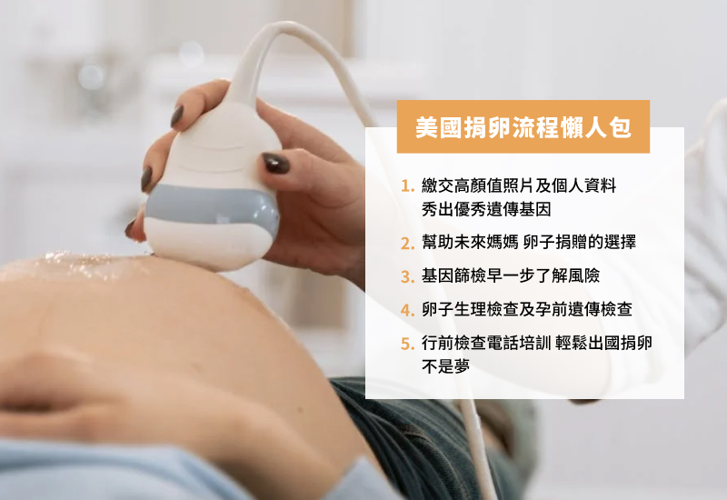 美國捐卵流程懶人包