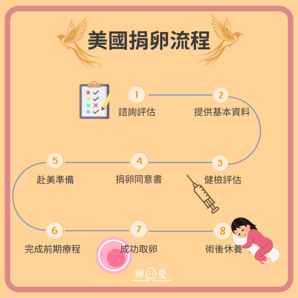 美國捐卵流程